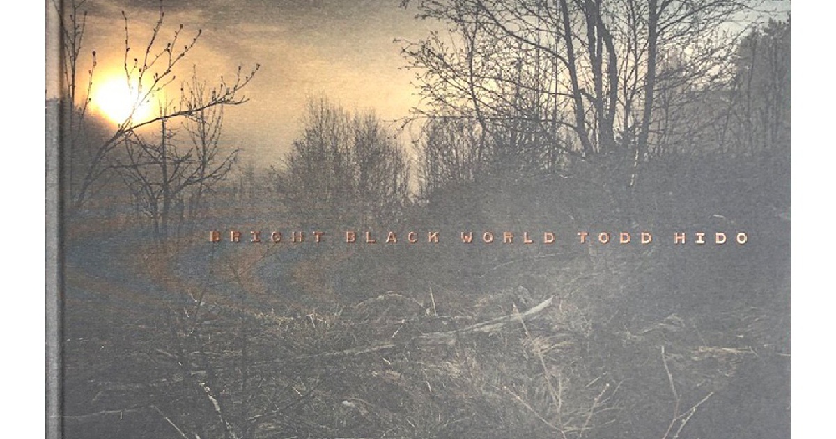 Publication: Bright Black World | Bruce Silverstein